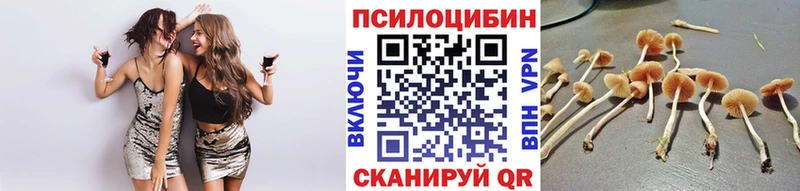 Галлюциногенные грибы Magic Shrooms Орёл