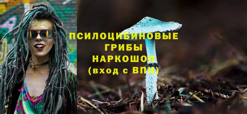 Псилоцибиновые грибы Psilocybine cubensis  Орёл 